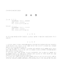 고소장 (혼인빙자간음죄) 고소장 (혼인빙자간음죄)